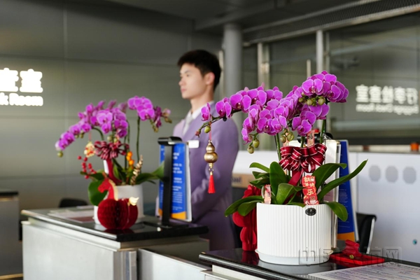 NEO5231769997106_.pic