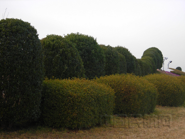 nEO_IMG_图片6.jpg nEO_IMG_图片6.jpg